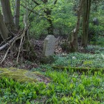 Gutsfriedhof