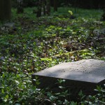 Gutsfriedhof