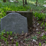 Gutsfriedhof